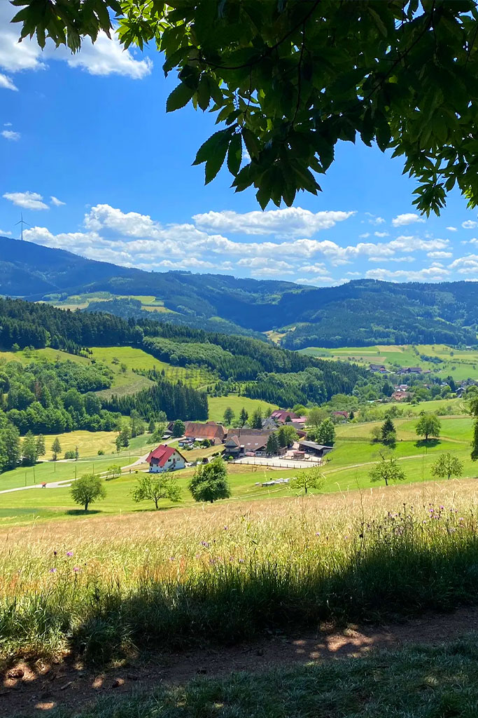 Umgebung